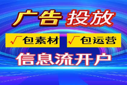案例研究：SEM代运营服务公司的创新策略